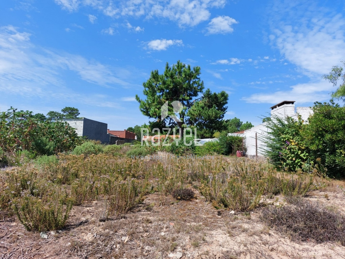 Terreno ID.427 - Terreno en Altos del Pinar