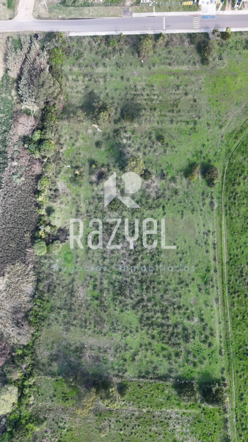 Terreno ID.1205 - Terreno 11.976 m² frente a Escuela Nº113 , San Carlos