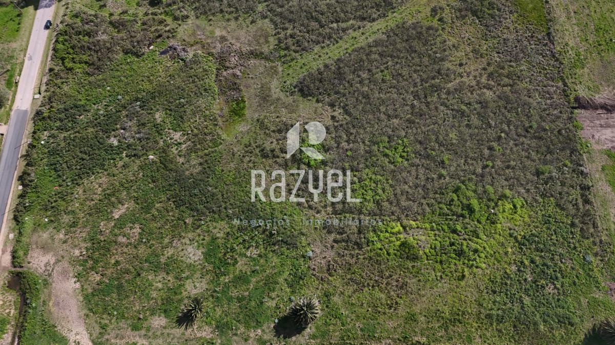 Terreno ID.1074 - Una inversión con visión a futuro, deja tu marca. San Carlos, Maldonado.