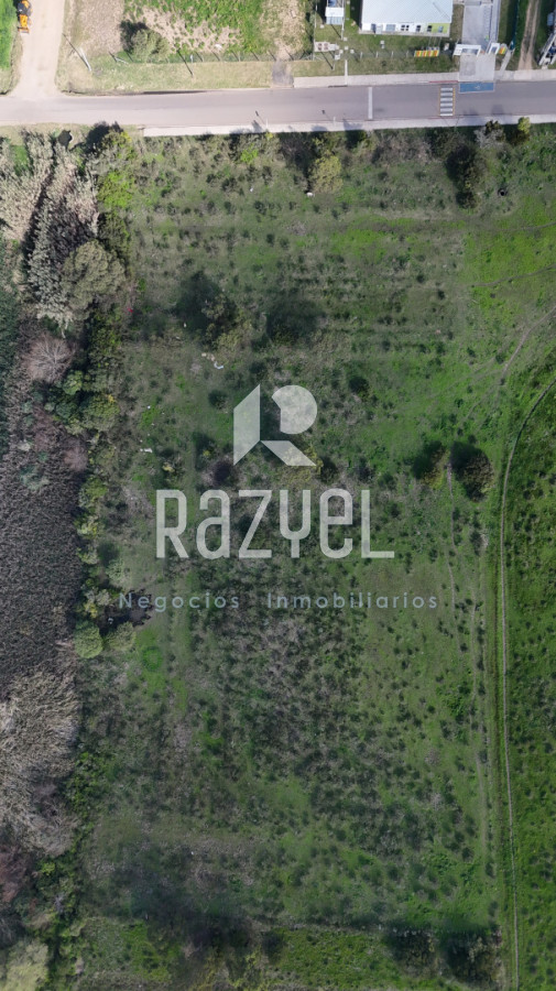 Terreno ID.1205 - Terreno 11.976 m² frente a Escuela Nº113 , San Carlos