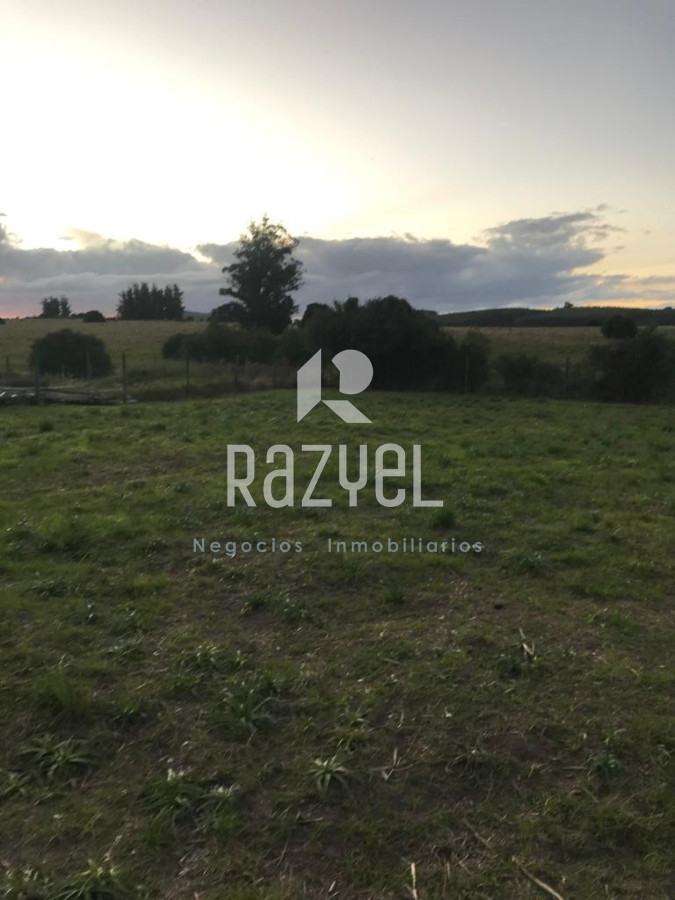 Terreno ID.419 - Hermoso terreno en venta 
