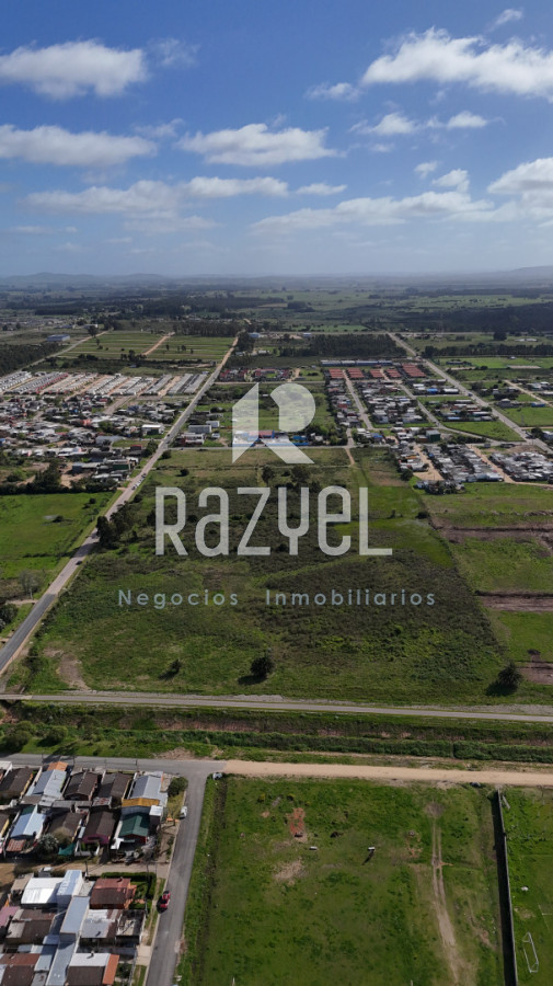 Terreno ID.1074 - Una inversión con visión a futuro, deja tu marca. San Carlos, Maldonado.