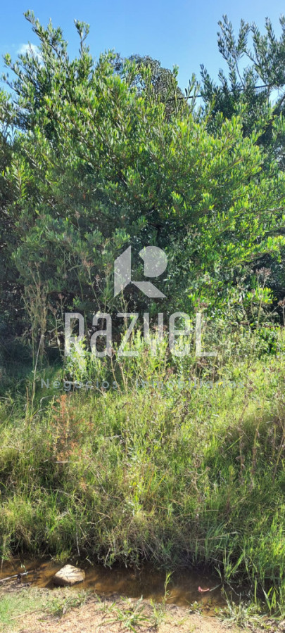 Terreno ID.1246 - VENTA  de terrenos Balneario Santa Monica .Lotes de 300 metros cuadrados a 450 metros cuadrados.