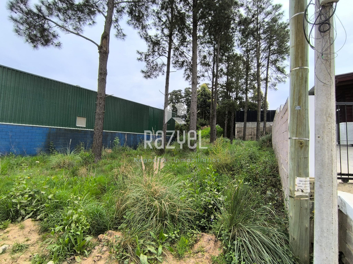 Terreno ID.1130 - Terreno en Venta. Altos de la Laguna. Maldonado