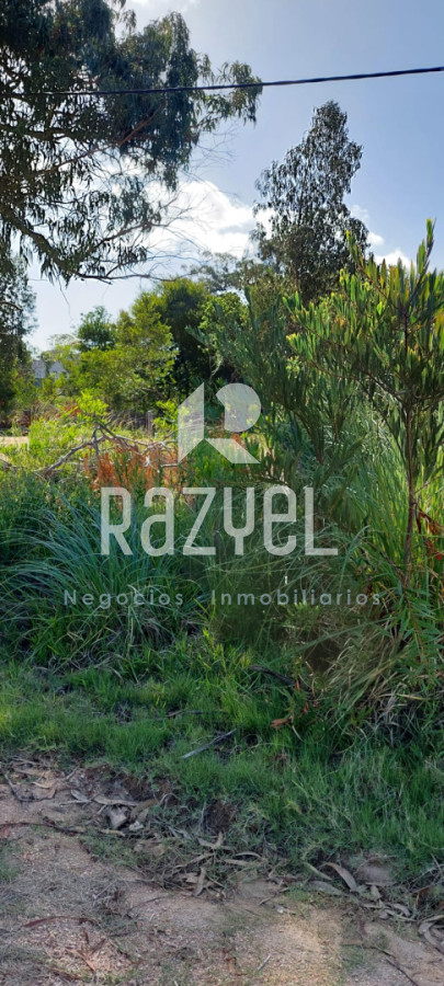 Terreno ID.1246 - VENTA  de terrenos Balneario Santa Monica .Lotes de 300 metros cuadrados a 450 metros cuadrados.