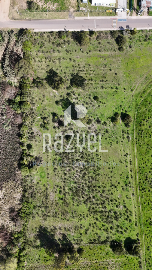 Terreno ID.1205 - Terreno 11.976 m² frente a Escuela Nº113 , San Carlos