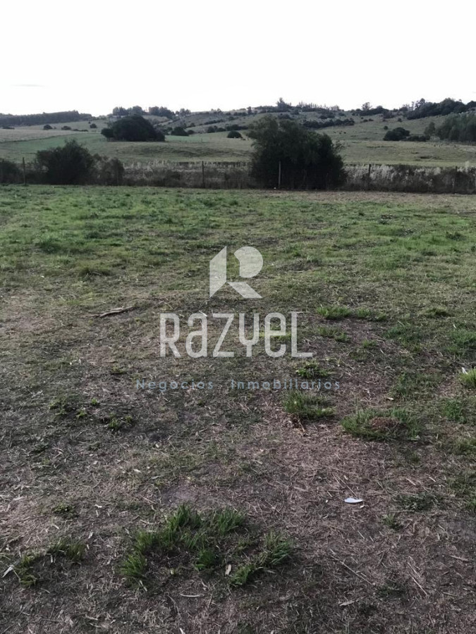 Terreno ID.419 - Hermoso terreno en venta 