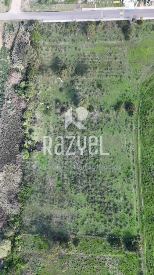 Terreno ID.1205 - Terreno 11.976 m² frente a Escuela Nº113 , San Carlos