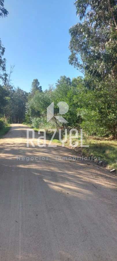 Terreno ID.1246 - VENTA  de terrenos Balneario Santa Monica .Lotes de 300 metros cuadrados a 450 metros cuadrados.