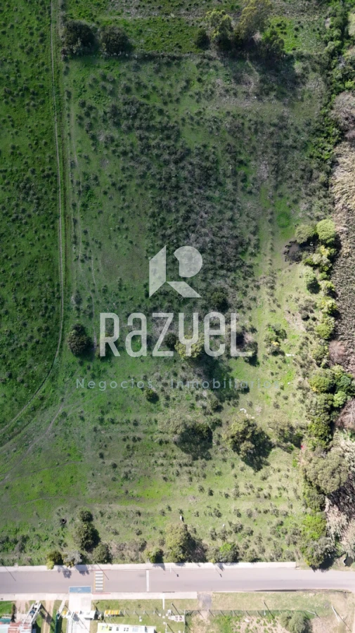 Terreno ID.1205 - Terreno 11.976 m² frente a Escuela Nº113 , San Carlos