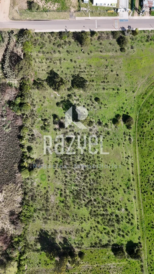 Terreno ID.1205 - Terreno 11.976 m² frente a Escuela Nº113 , San Carlos