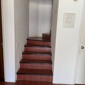 Apartamento ID.1039/Alquiler-temporal---Parada-7---Playa-Brava.- - Alquiler temporal - Parada 7 - Playa Brava. 