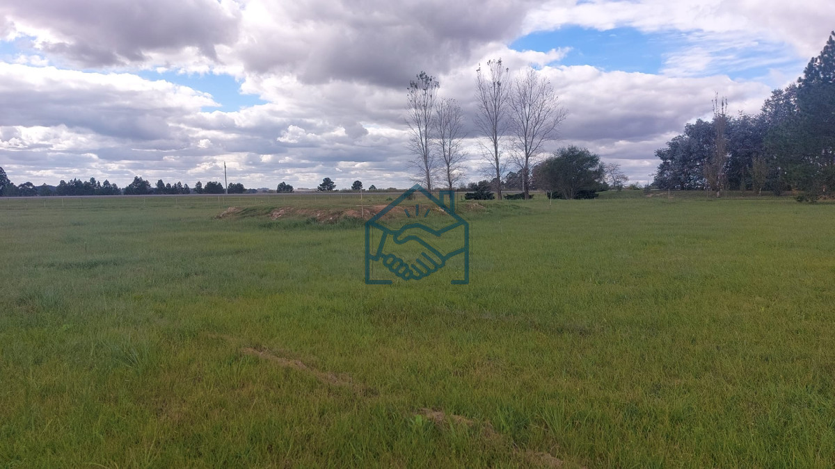 Terreno ID.733/Excelente-terreno-en-Los-Arrayanes-a-metros-del-Rio-Negro- - Excelente terreno en Los Arrayanes a metros del Rio Negro 