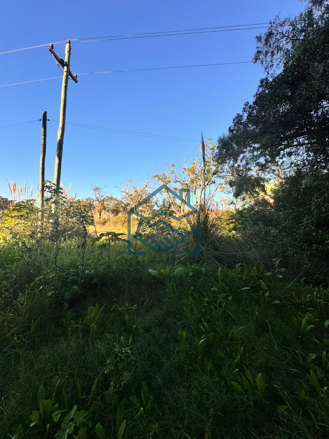 Terreno ID.935/TERRENO-EN-VENTA---Punta-Ballena-605-m2-. - TERRENO EN VENTA - Punta Ballena 605 m2 .