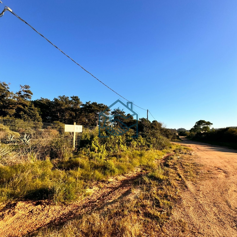 Terreno ID.935/TERRENO-EN-VENTA---Punta-Ballena-605-m2-. - TERRENO EN VENTA - Punta Ballena 605 m2 .
