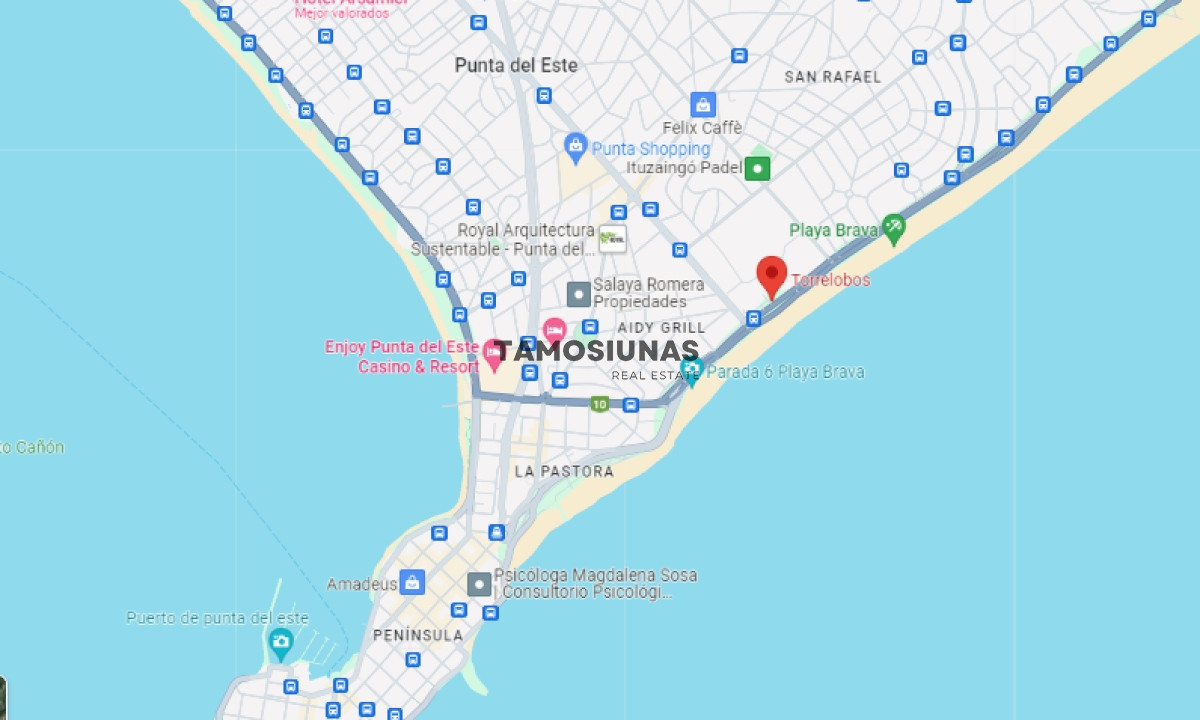 Apartamento ID.390 - Apartamento en Venta 4 dormitorios Frente al Mar 