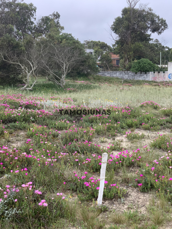 Terreno ID.509 - Venta de Terreno Frente al Mar Piriapolis 