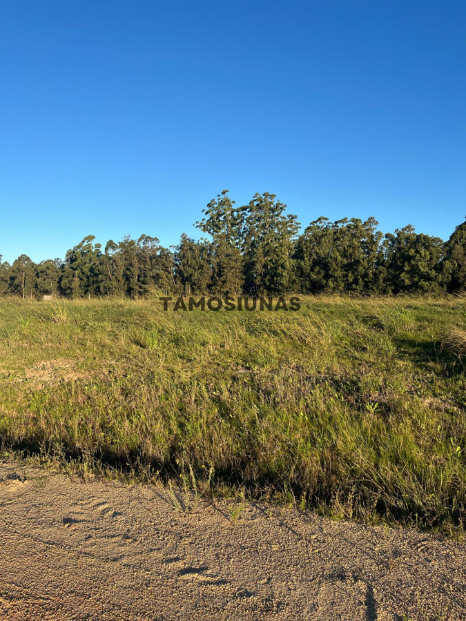 Terreno ID.439 - Venta de Terreno en Maldonado Barrio 4H