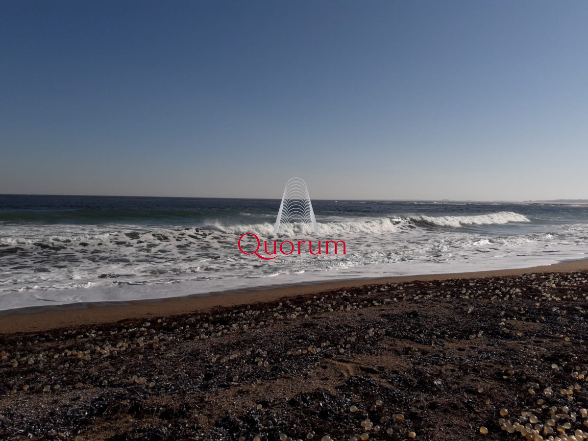 Casa ID.384 - Venta casa 2 dormitorios La Paloma Frente al mar El Cabito Rocha Uruguay