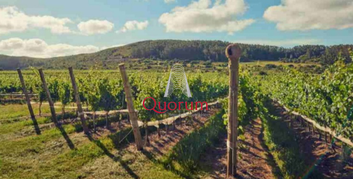 Chacra ID.388 - Venta Chacra 5 Hectareas Viña Eden Maldonado Uruguay
