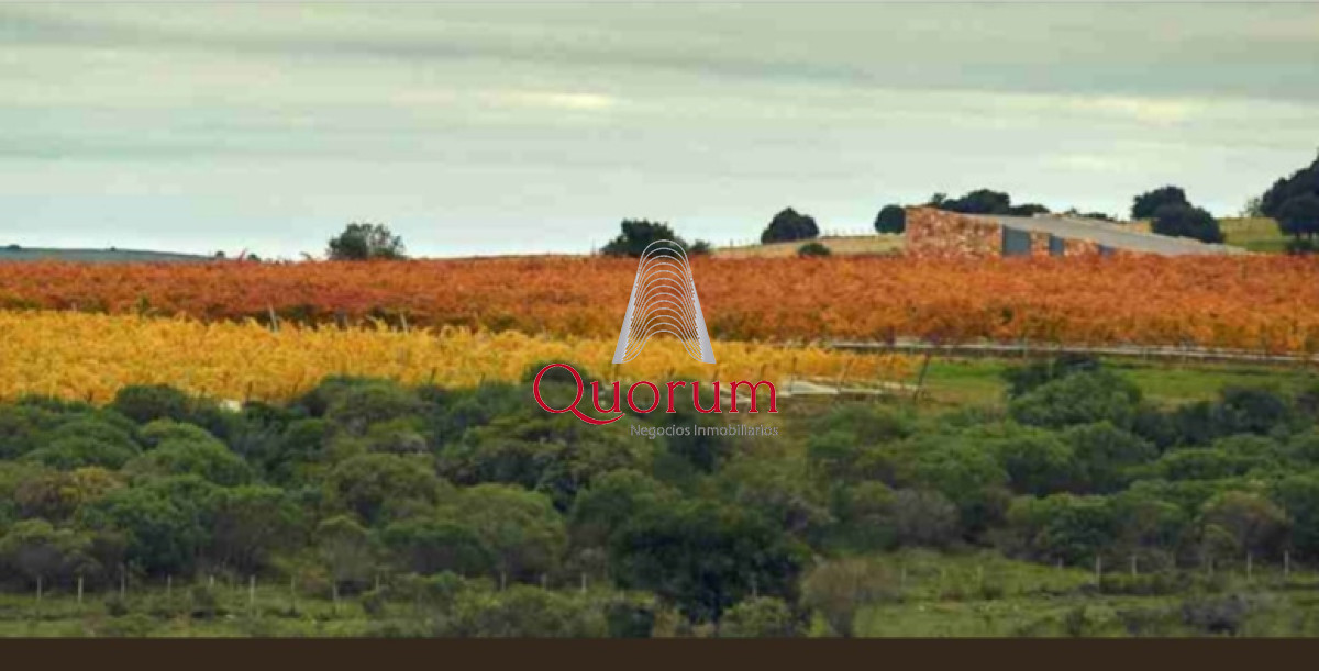 Chacra ID.388 - Venta Chacra 5 Hectareas Viña Eden Maldonado Uruguay