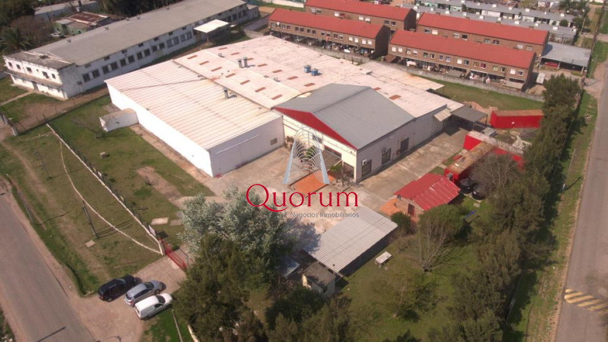 Local Comercial ID.503 - Venta de Planta Industrial, con cámaras de frio , laboratorio y  oficinas.