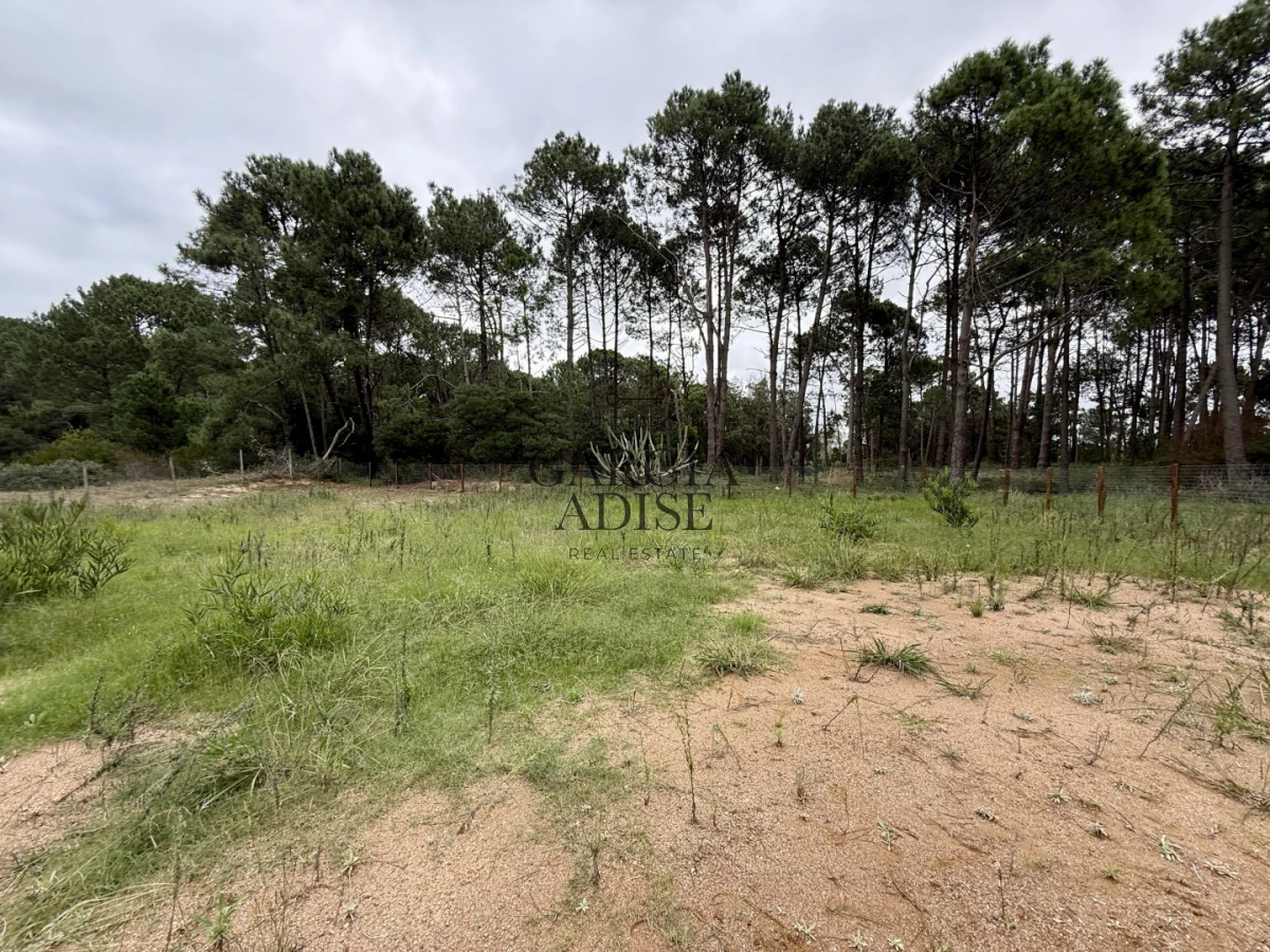 Terreno ID.430/Terreno-en-Barra-Verde - Terreno en Barra Verde
