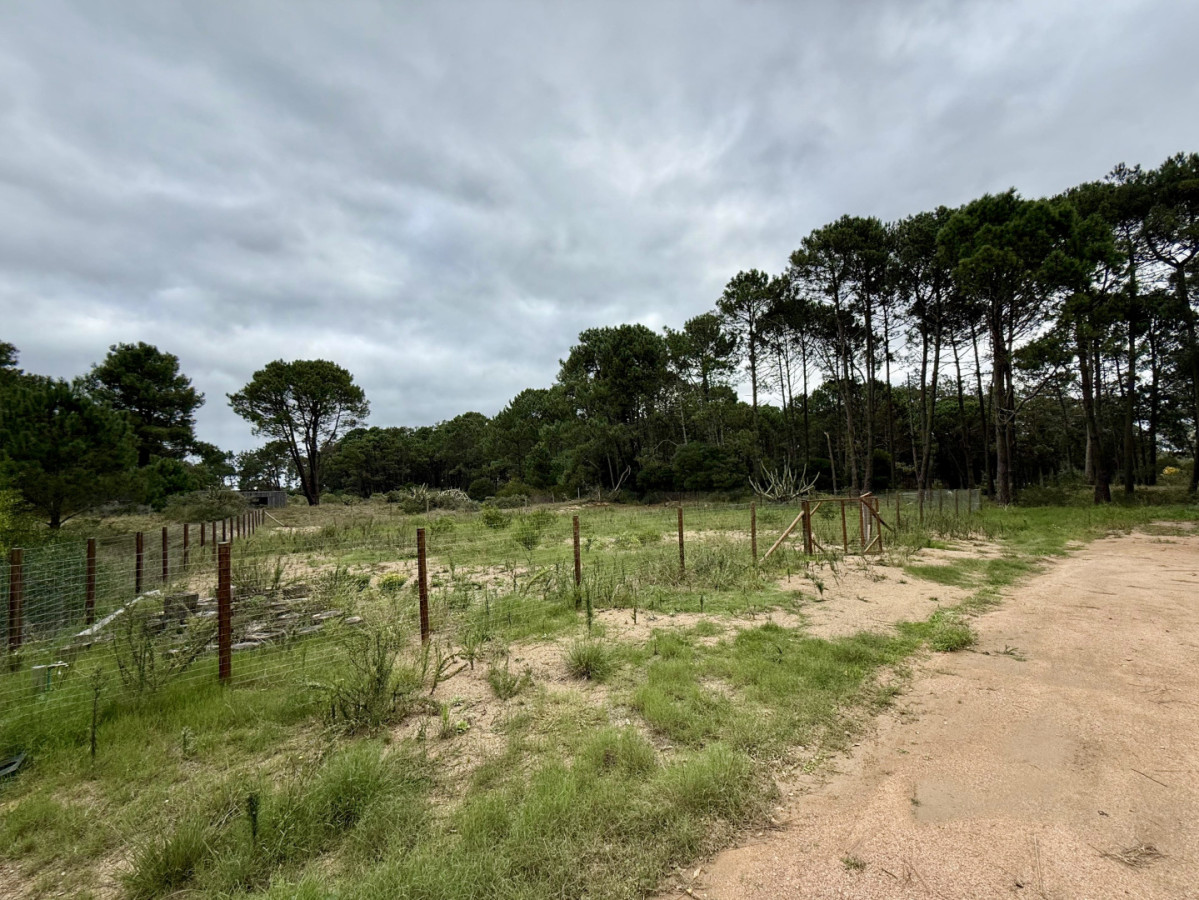 Terreno en Barra Verde