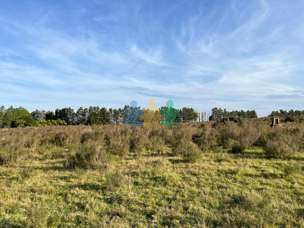 Pueblo Eden - GoPunta - Portal Inmobiliario de Punta del Este - Maldonado