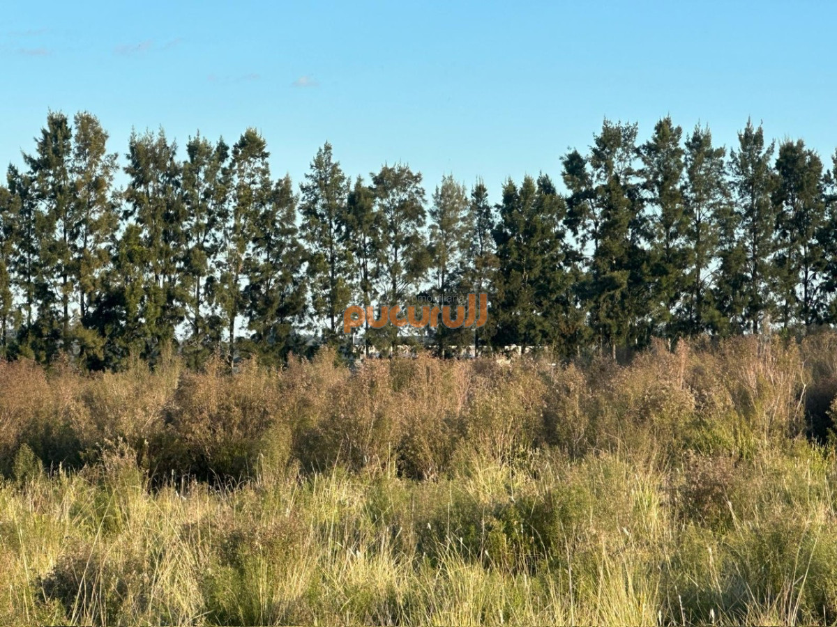 Chacra ID.2157 - CHACRA PUEBLO EDEN