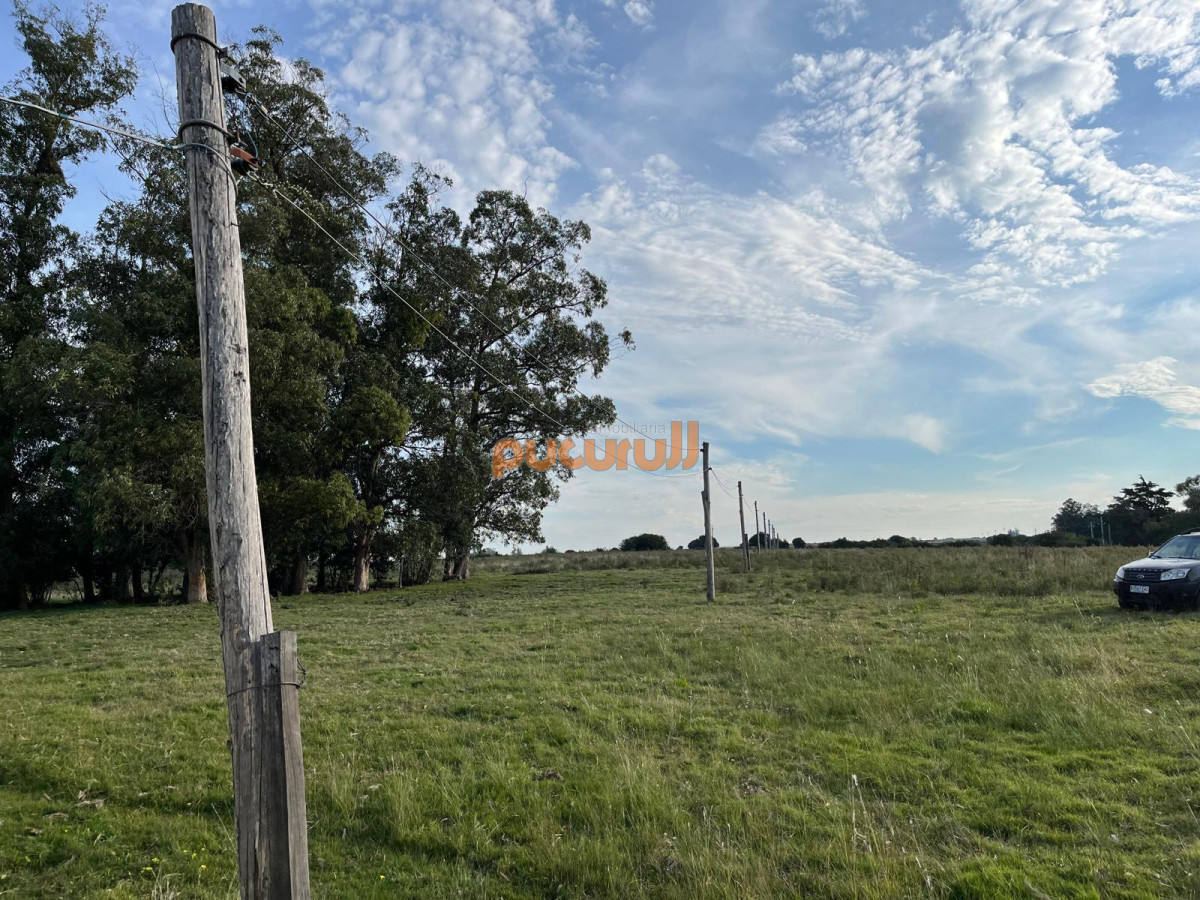 Chacra ID.2157 - CHACRA PUEBLO EDEN