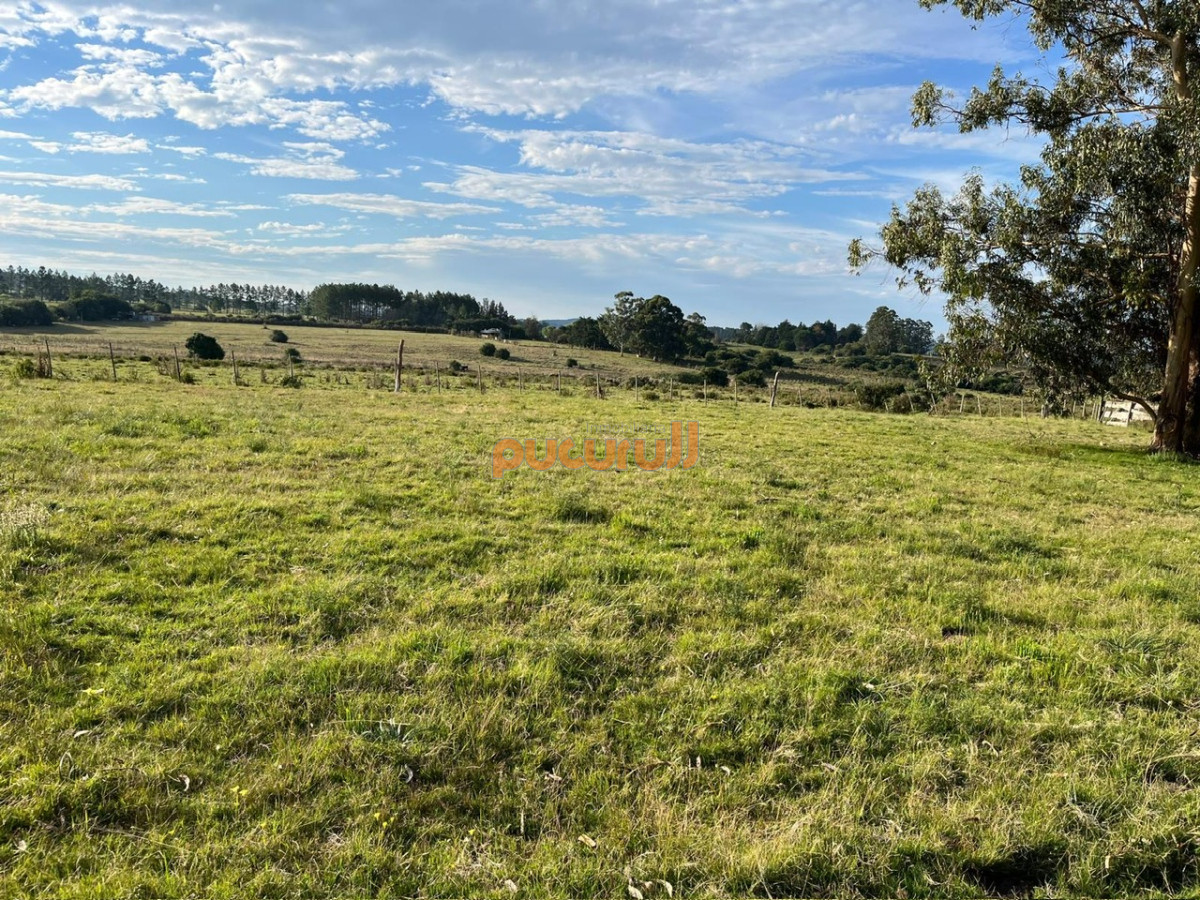 Chacra ID.2157 - CHACRA PUEBLO EDEN