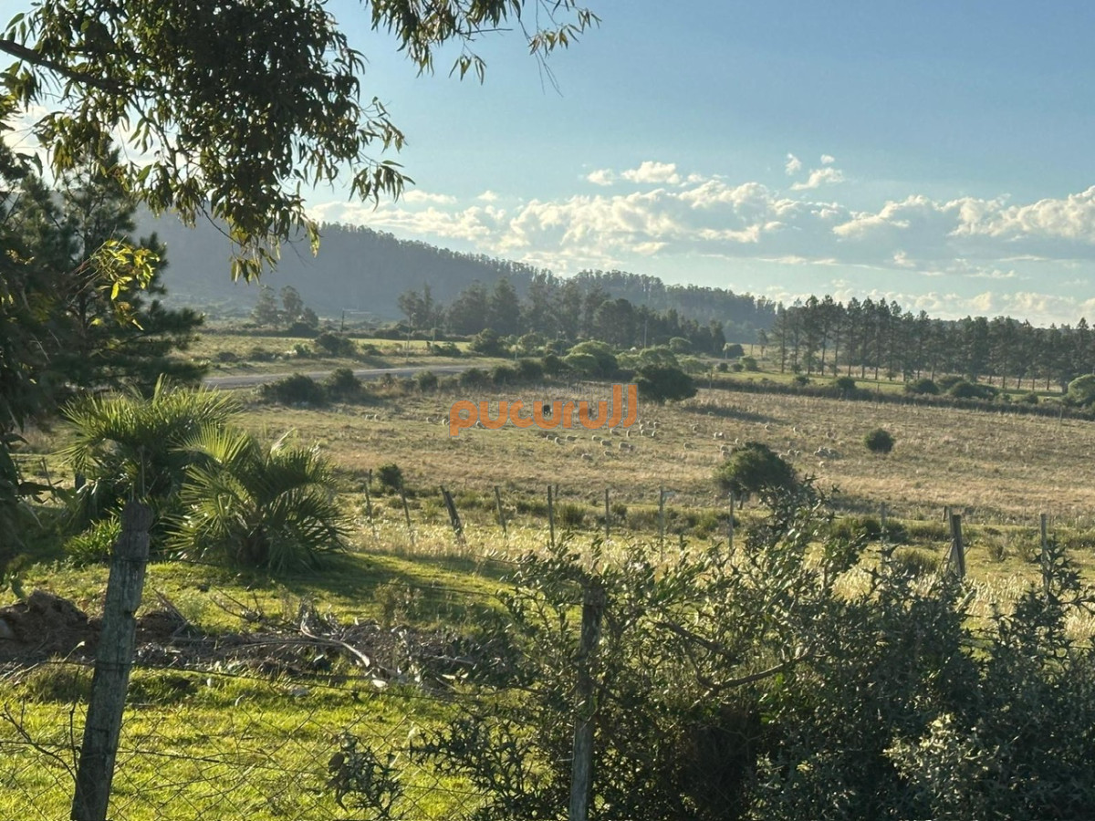 Pueblo Eden - GoPunta - Portal Inmobiliario de Punta del Este - Maldonado