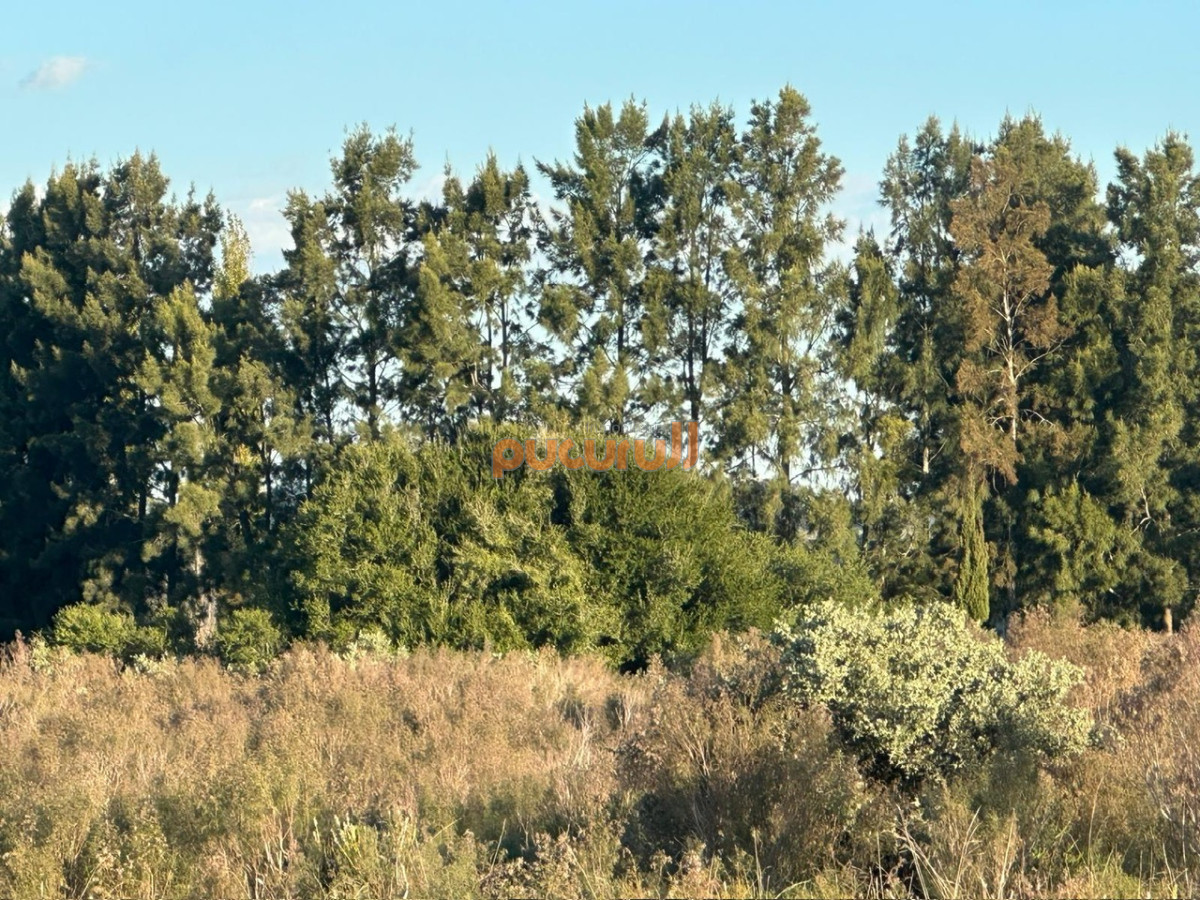 Chacra ID.2157 - CHACRA PUEBLO EDEN