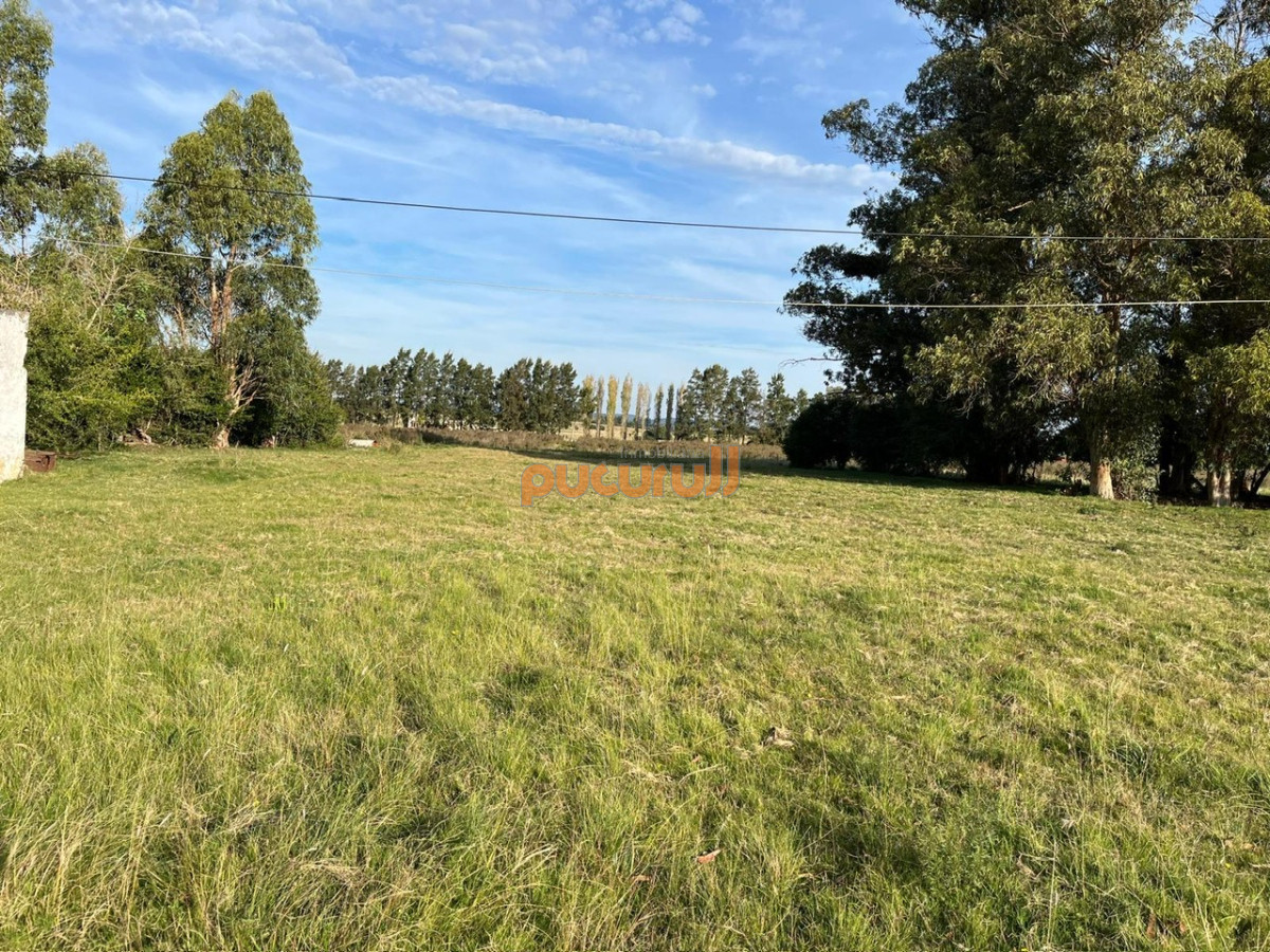 Chacra ID.2157 - CHACRA PUEBLO EDEN