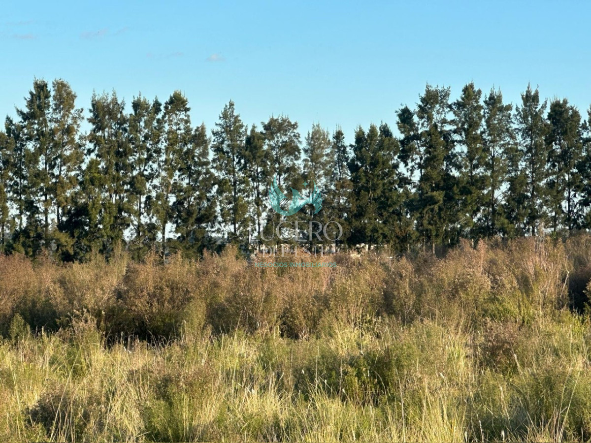 Chacra ID.1681 - VENDO CHACRA PUEBLO EDEN