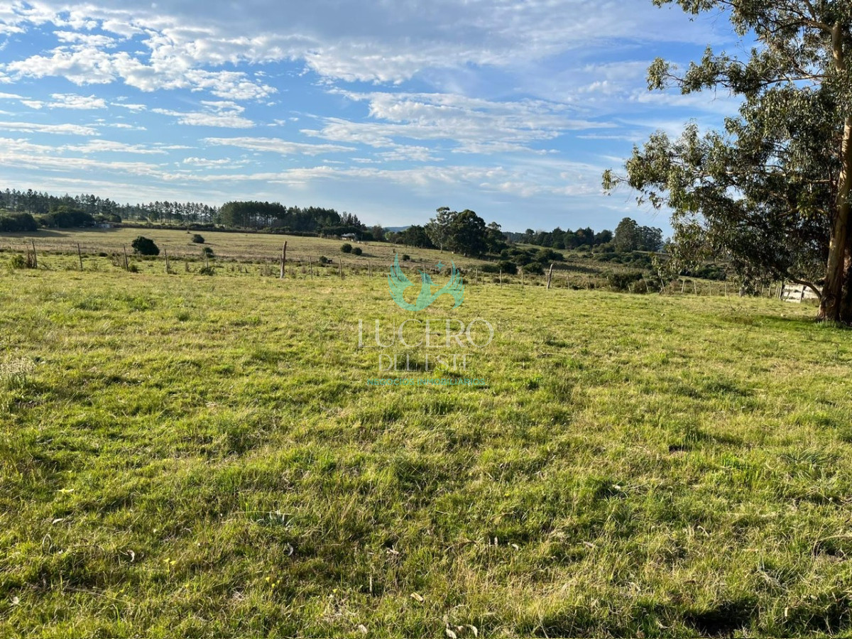 Chacra ID.1681 - VENDO CHACRA PUEBLO EDEN