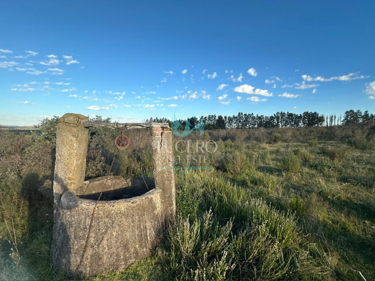 Chacra ID.1681 - VENDO CHACRA PUEBLO EDEN