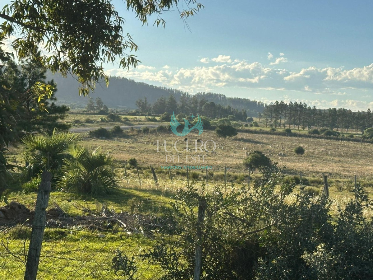 Chacra ID.1681 - VENDO CHACRA PUEBLO EDEN