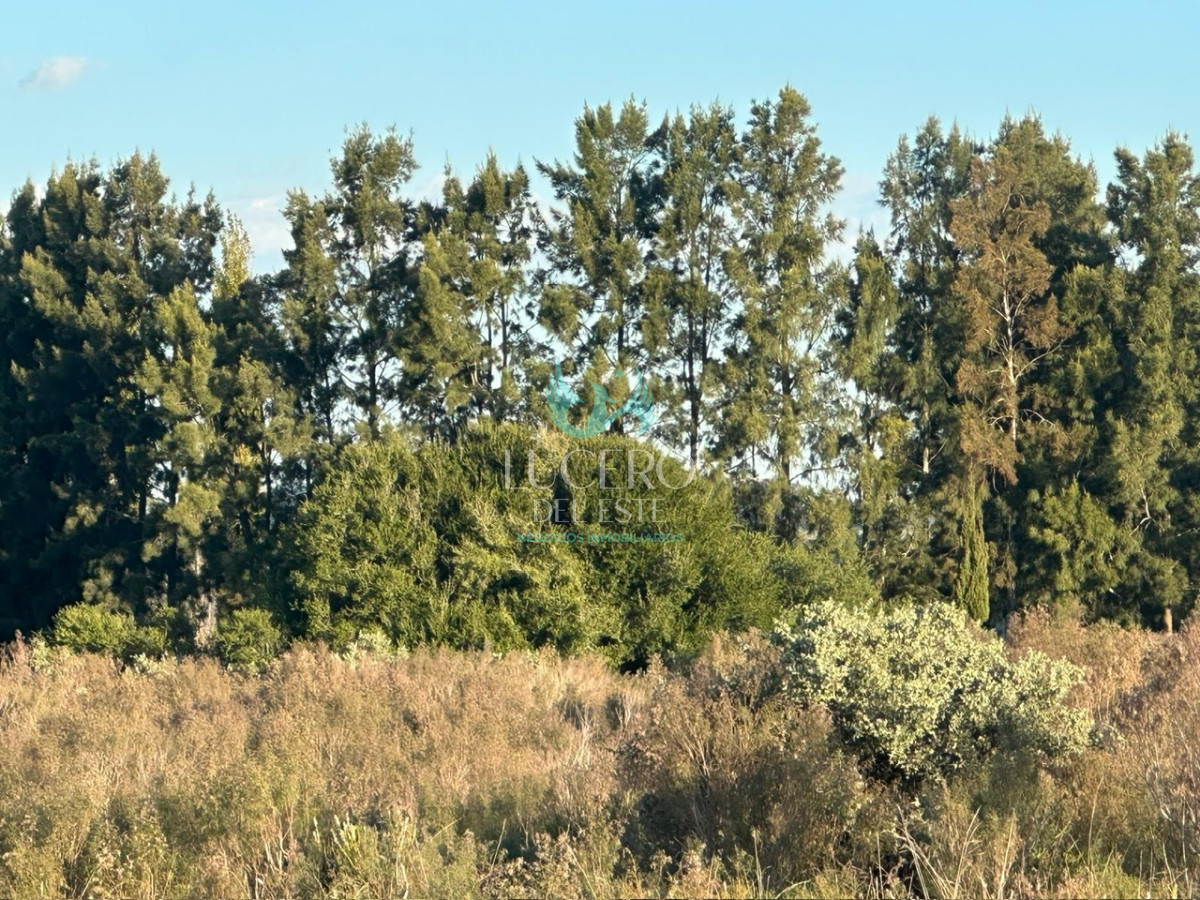 Chacra ID.1681 - VENDO CHACRA PUEBLO EDEN