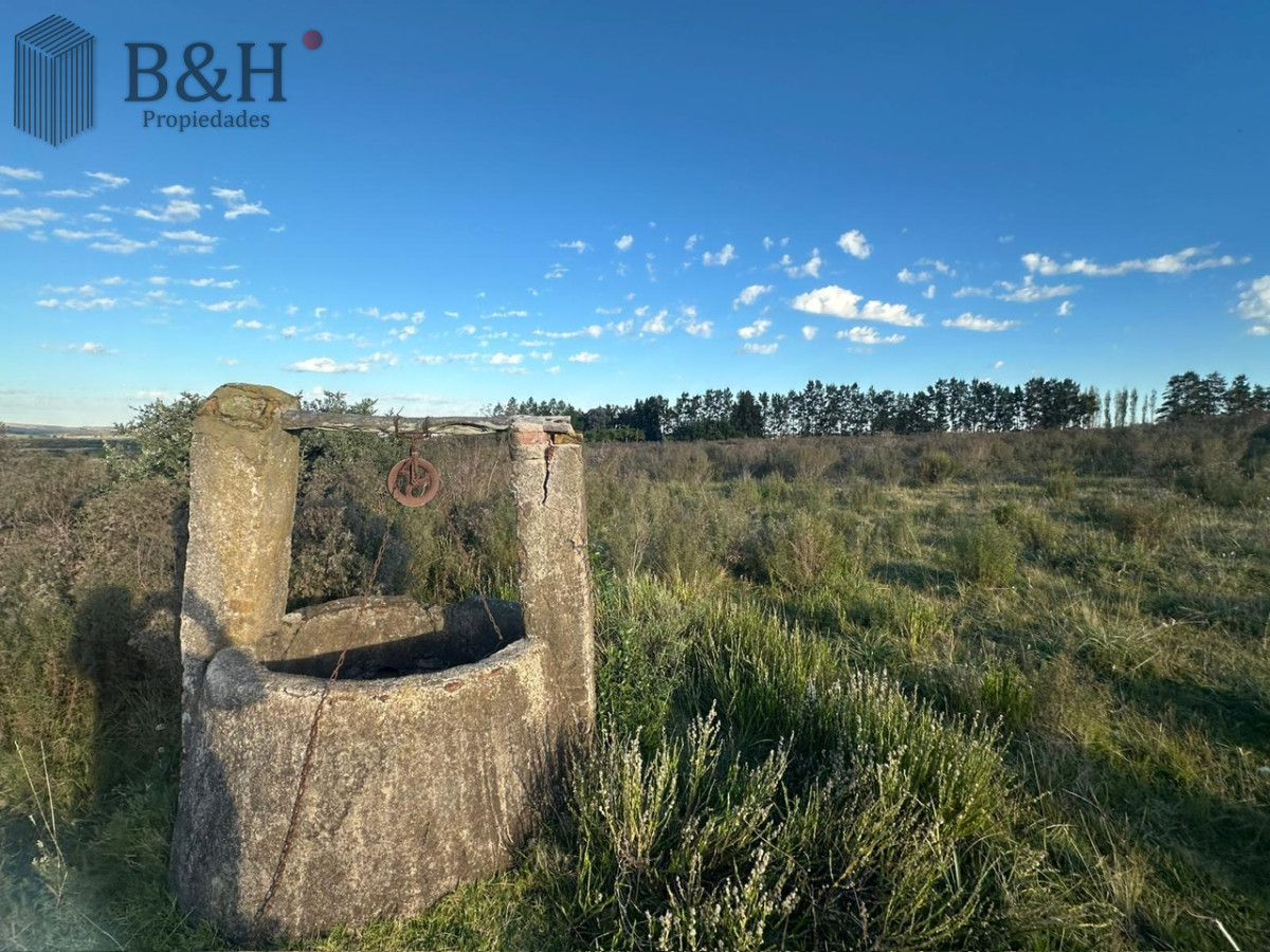 Chacra ID.5344 - CHACRA PUEBLO EDEN