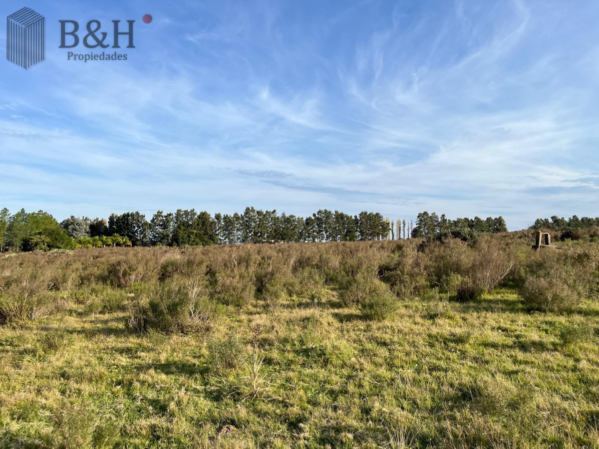 Pueblo Eden - GoPunta - Portal Inmobiliario de Punta del Este - Maldonado