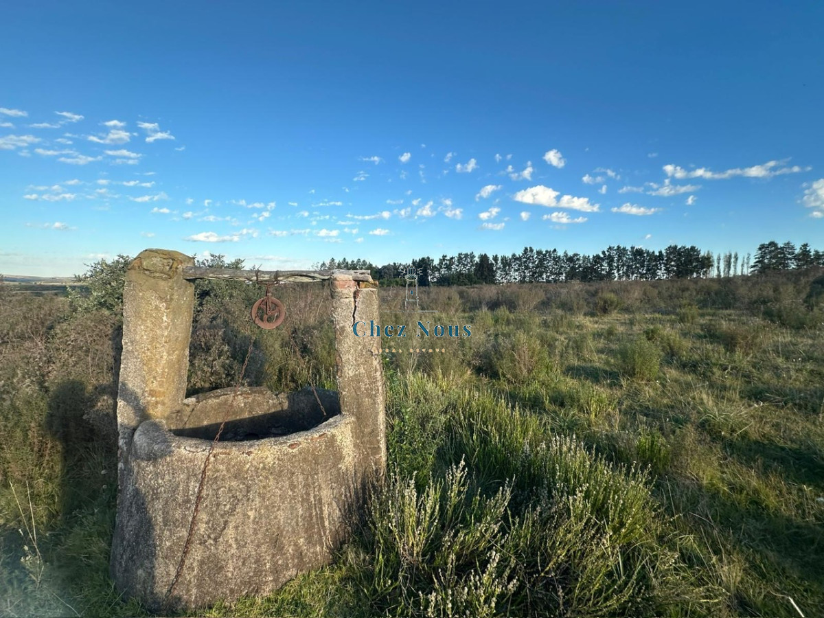 Chacra ID.2075 - CHACRA PUEBLO EDEN