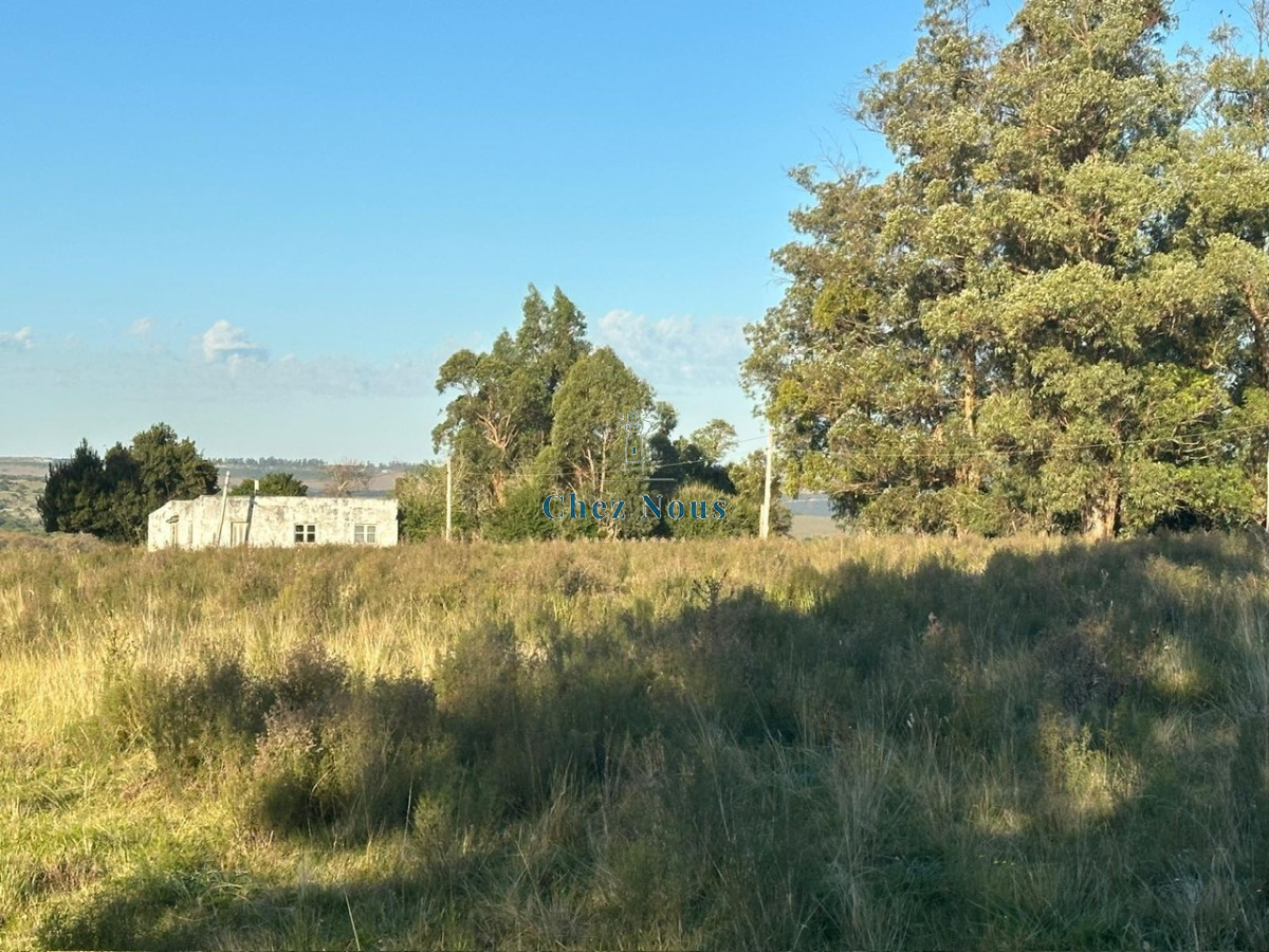Chacra ID.2075 - CHACRA PUEBLO EDEN
