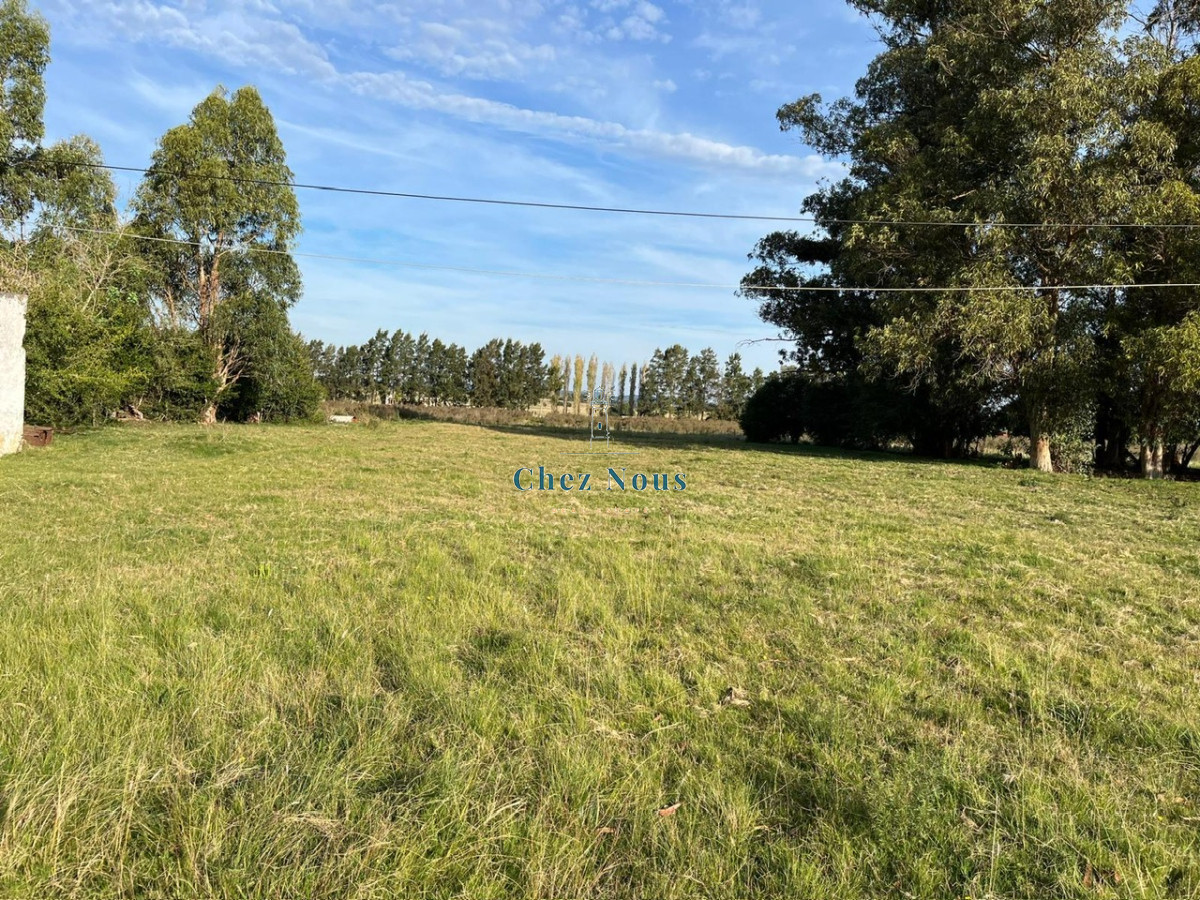 Chacra ID.2075 - CHACRA PUEBLO EDEN