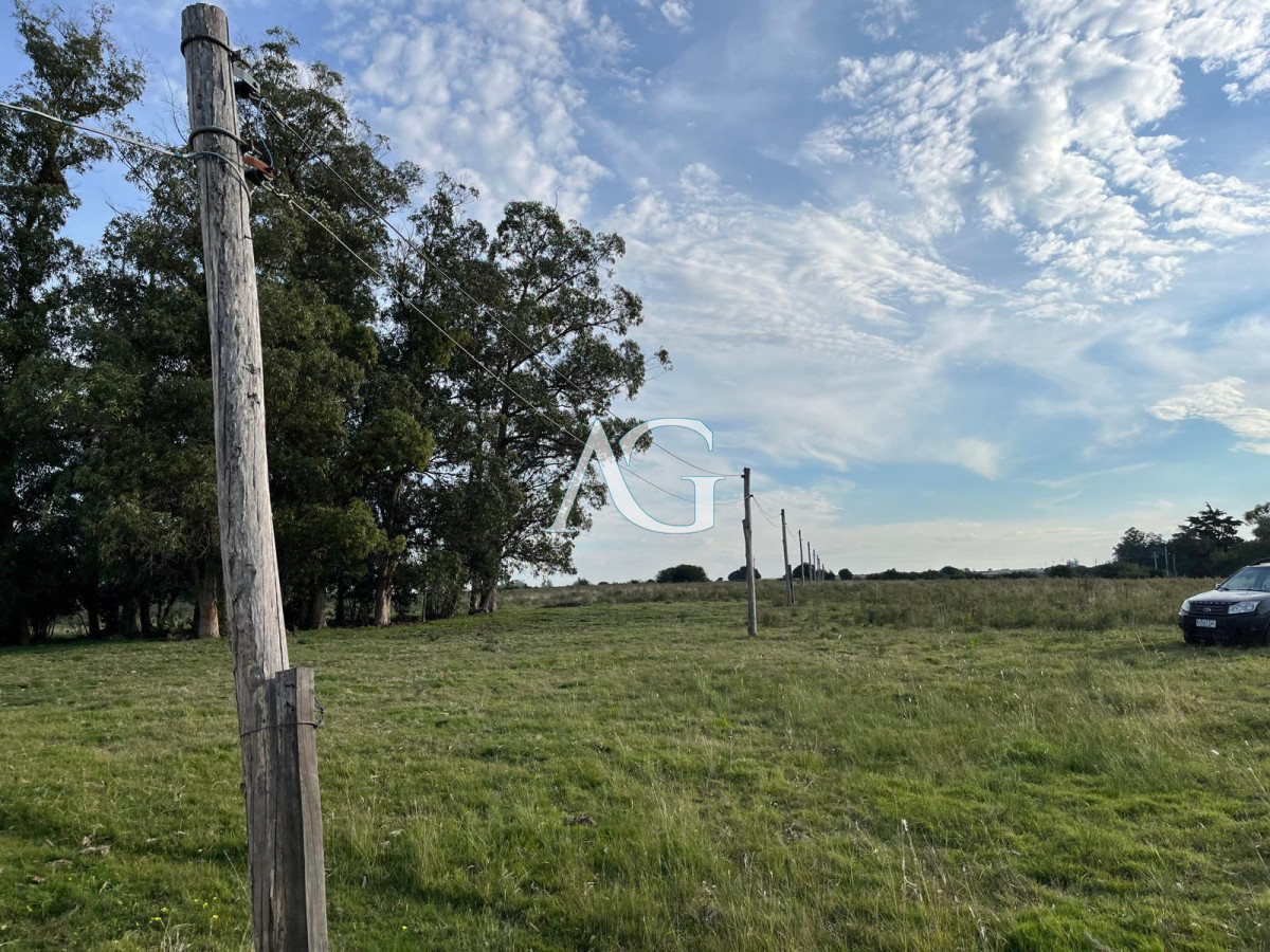 Chacra ID.186 - CHACRA PUEBLO EDEN