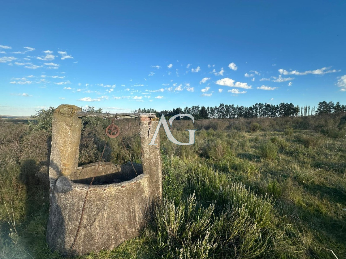 Chacra ID.186 - CHACRA PUEBLO EDEN