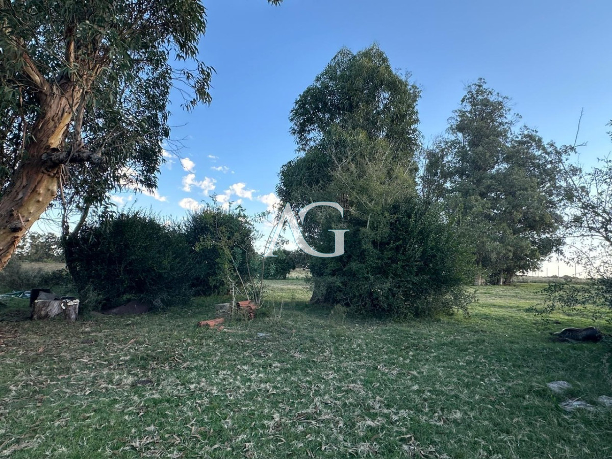 Chacra ID.186 - CHACRA PUEBLO EDEN