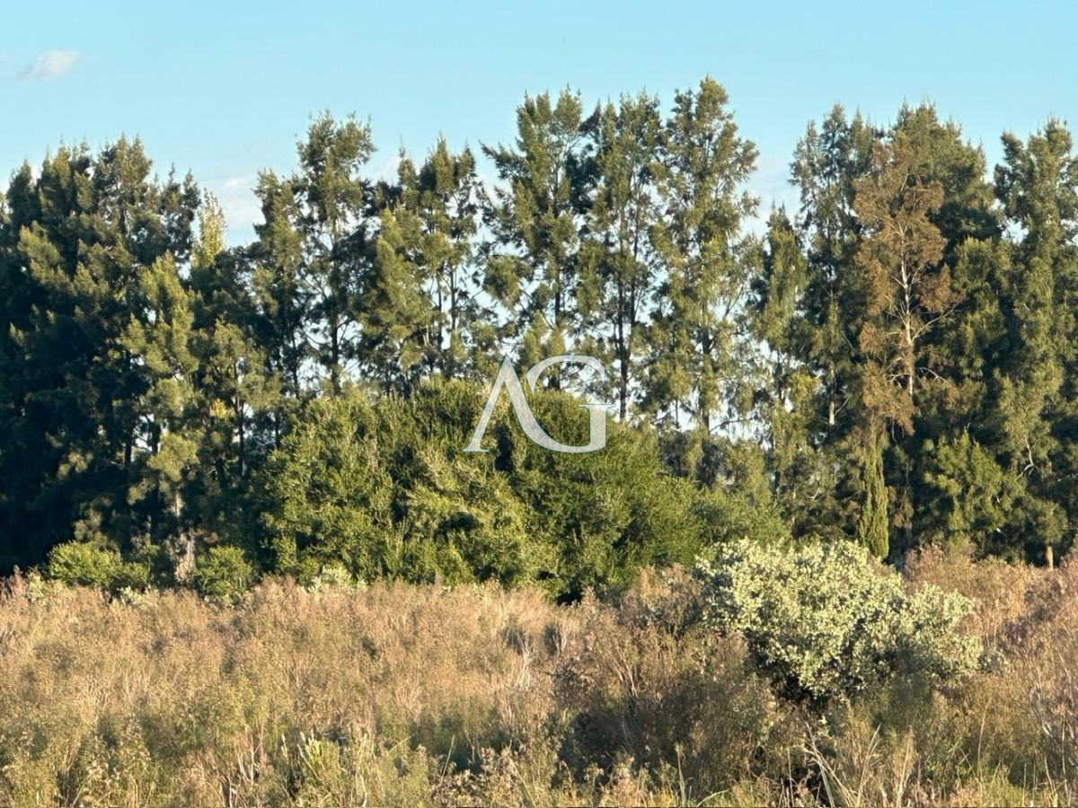 Chacra ID.186 - CHACRA PUEBLO EDEN