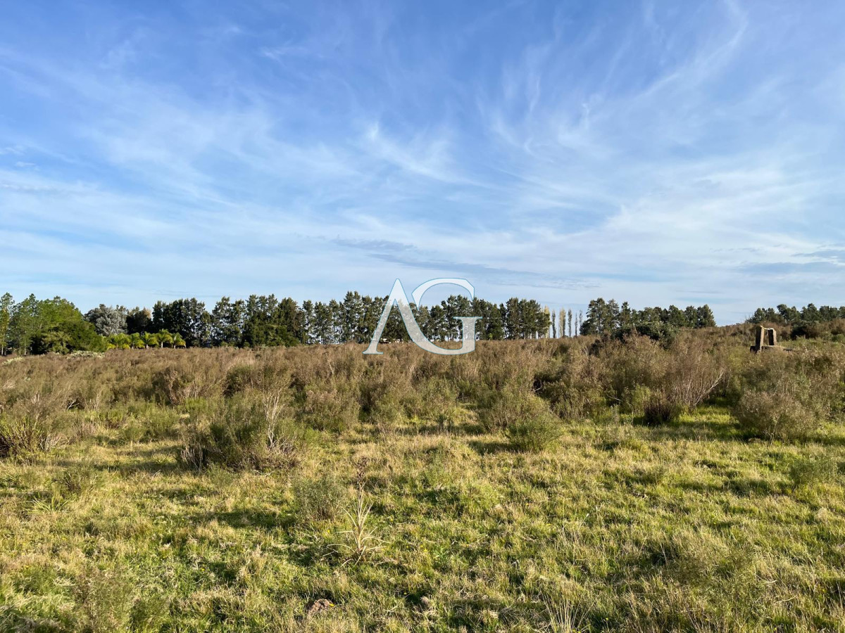 Chacra ID.186 - CHACRA PUEBLO EDEN